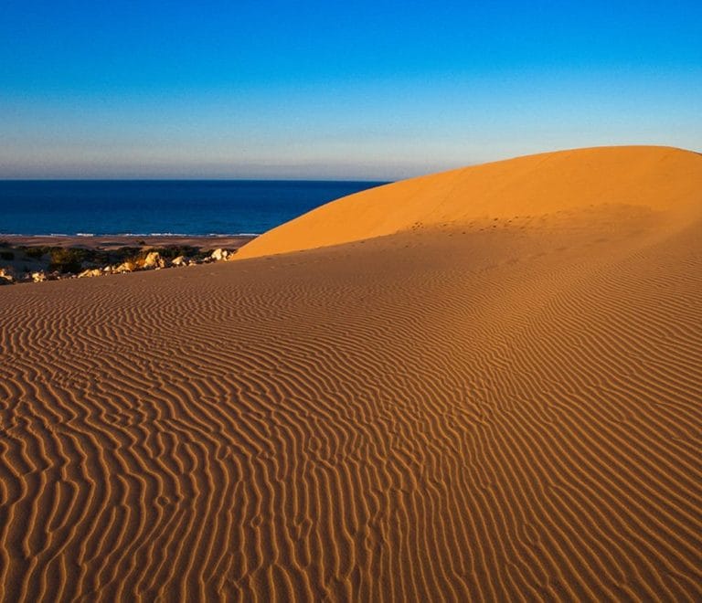 Patara Plajı hakkında bilgiler